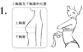 上胸圍及下胸圍的位置 1.アンダーバストは背筋をまっすぐにし、胸のふくらみのすぐ真下の部分を水平にして、周囲の長さを測ります。