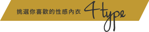 選べるセクシーブラ 4タイプ