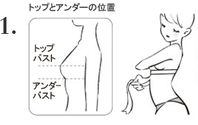 トップとアンダーの位置 1.アンダーバストは背筋をまっすぐにし、胸のふくらみのすぐ真下の部分を水平にして、周囲の長さを測ります。
